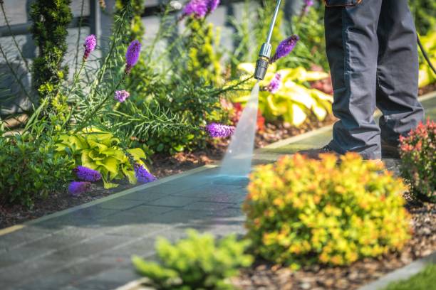 Best Pre-Holiday Cleaning  in Delmont, PA